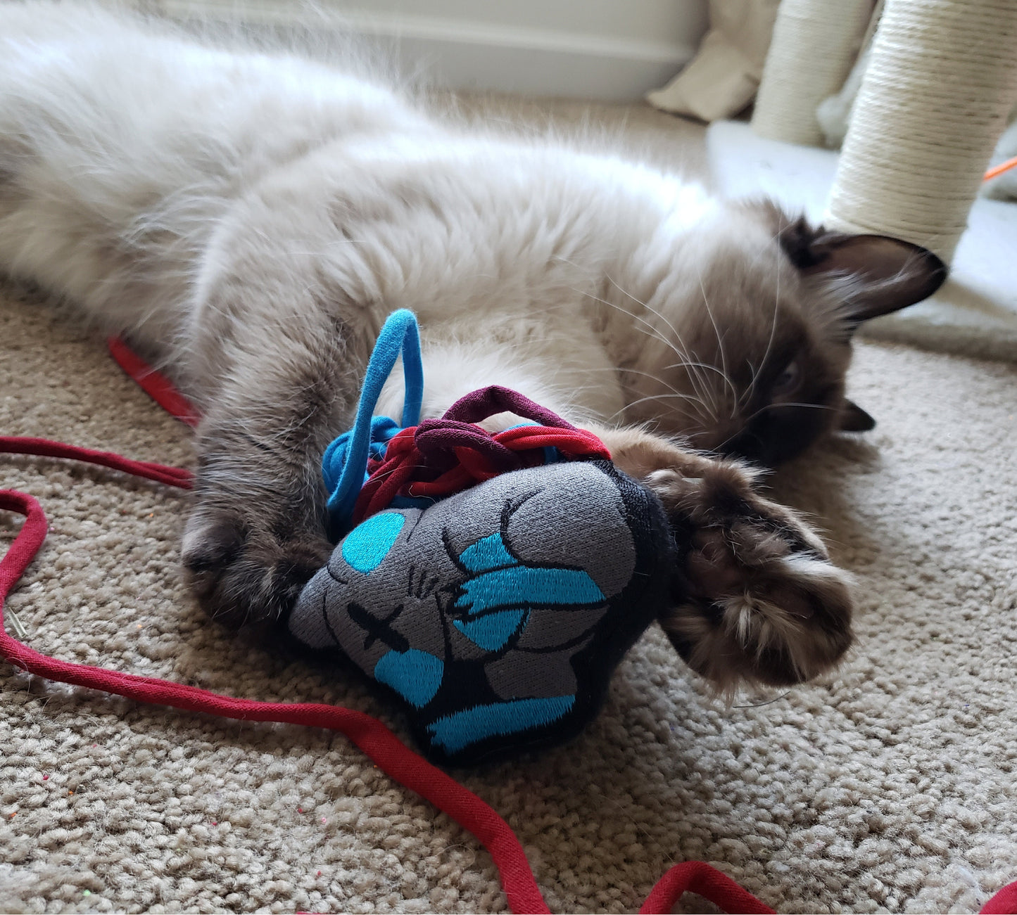 Black & Blue Meowdered Mouse