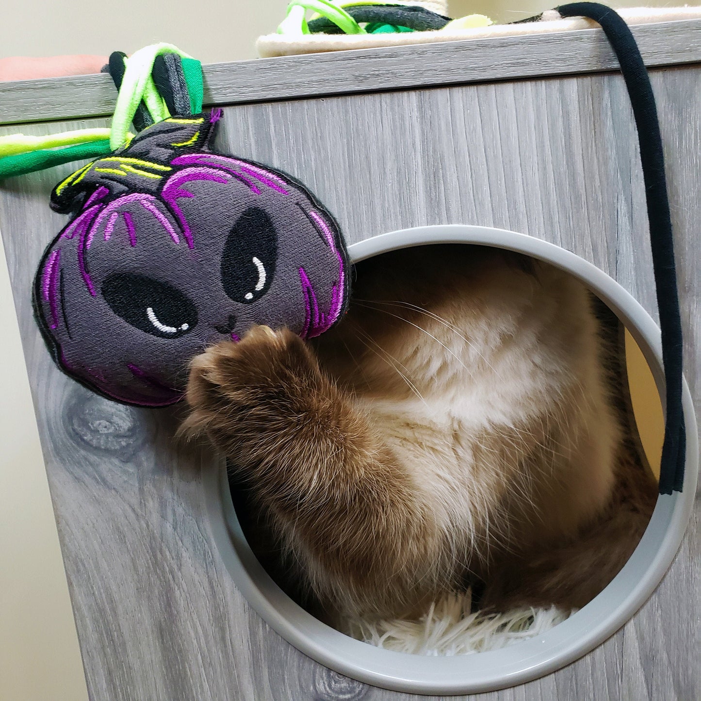 Neon Purple Pumpkin