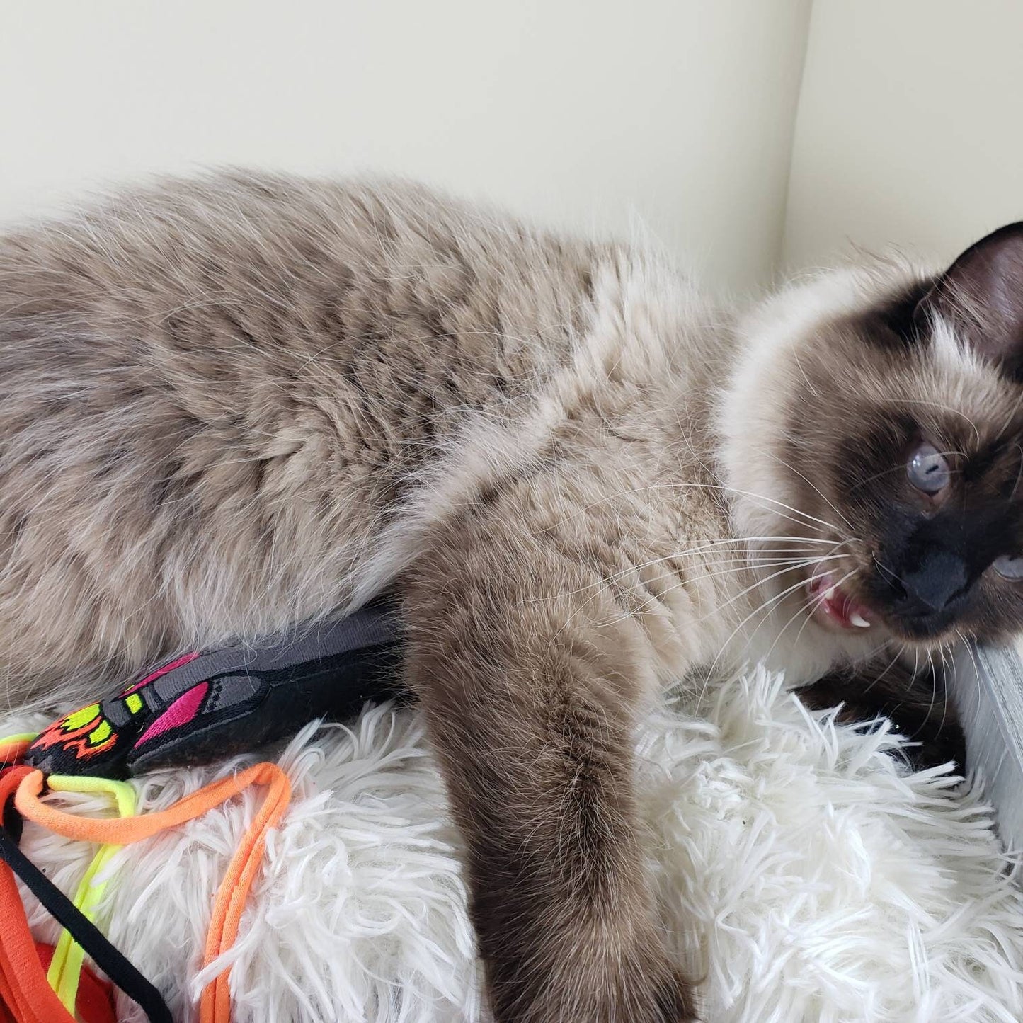 Neon Rocket - Kicker