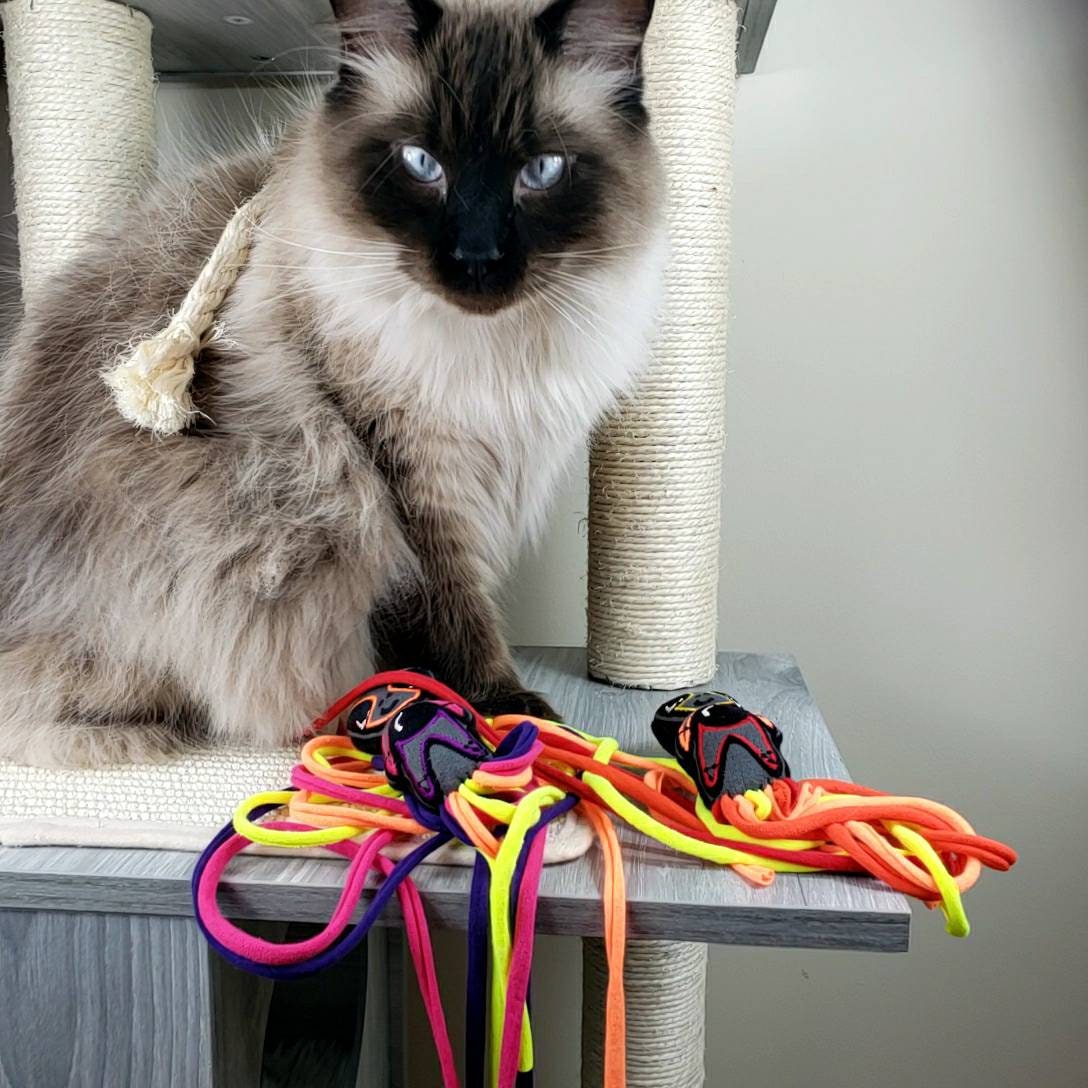 Orange, Pink, & Purple Alien - Original PRJT.Mercury Collection