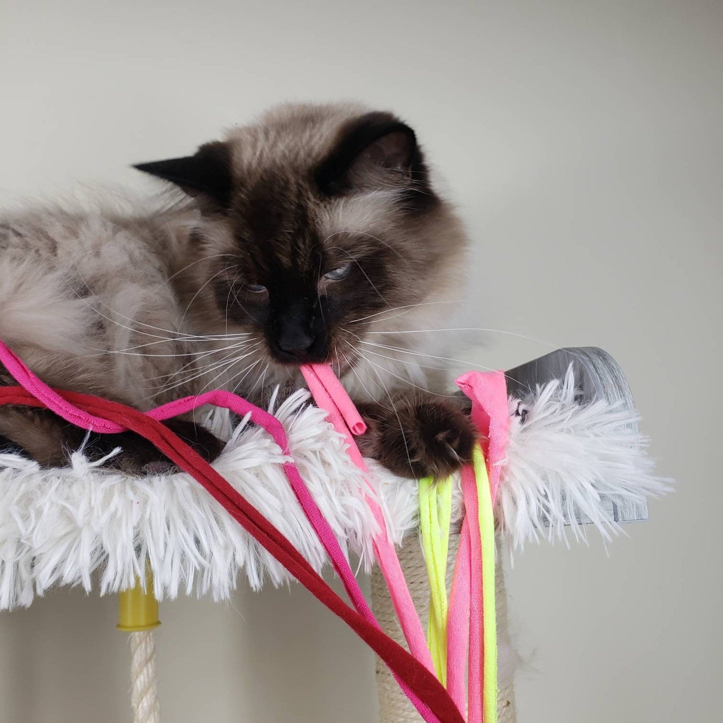 Pink Alien - Original PRJT.Mercury Collection