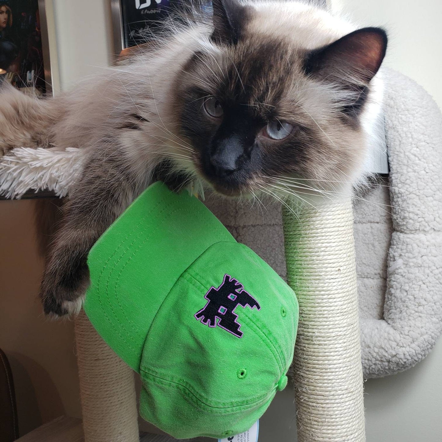 ALIEN CAT  - PRJT Mercury Embroidered Logo Hat